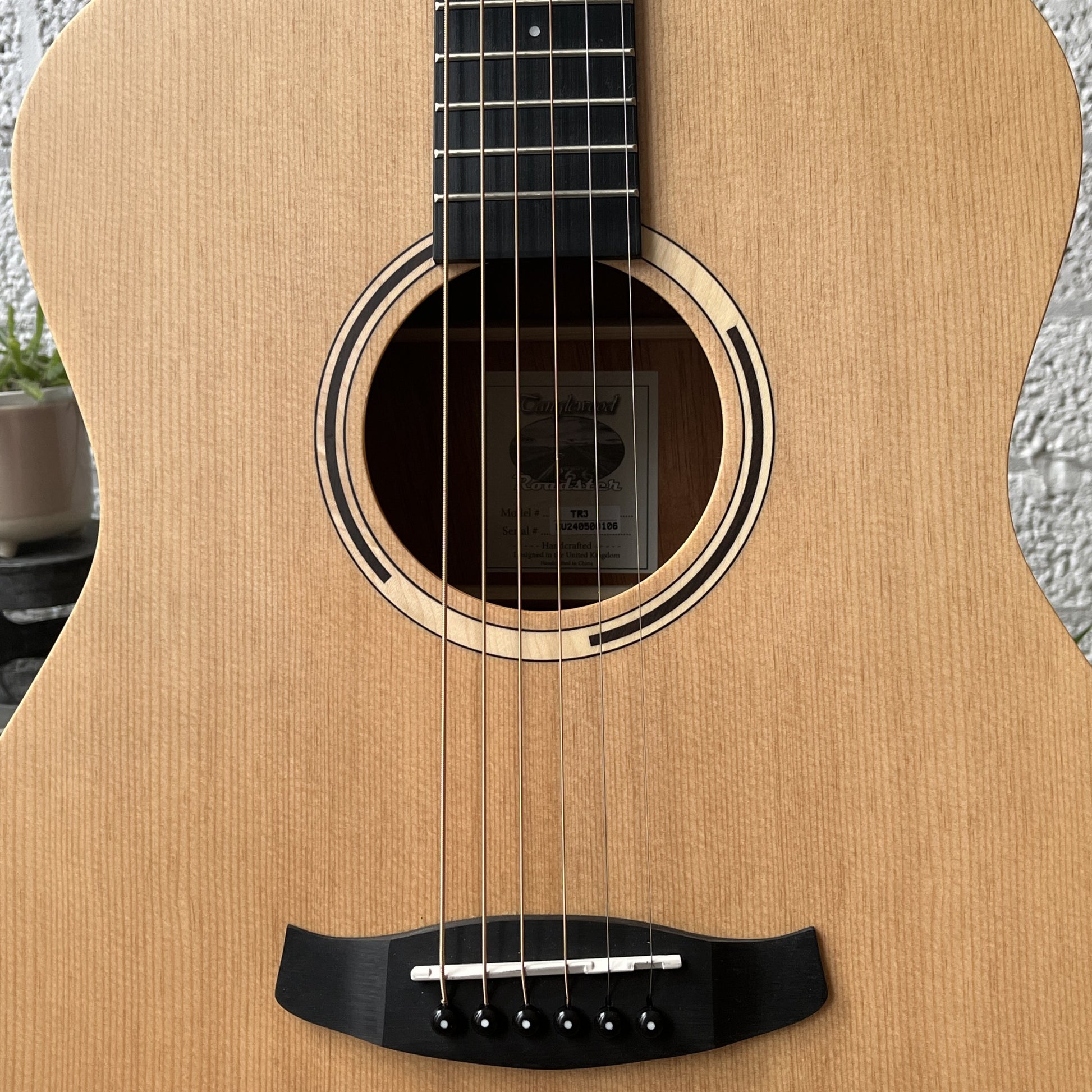 tanglewood tr3 roadster auditorium acoustic guitar body detail
