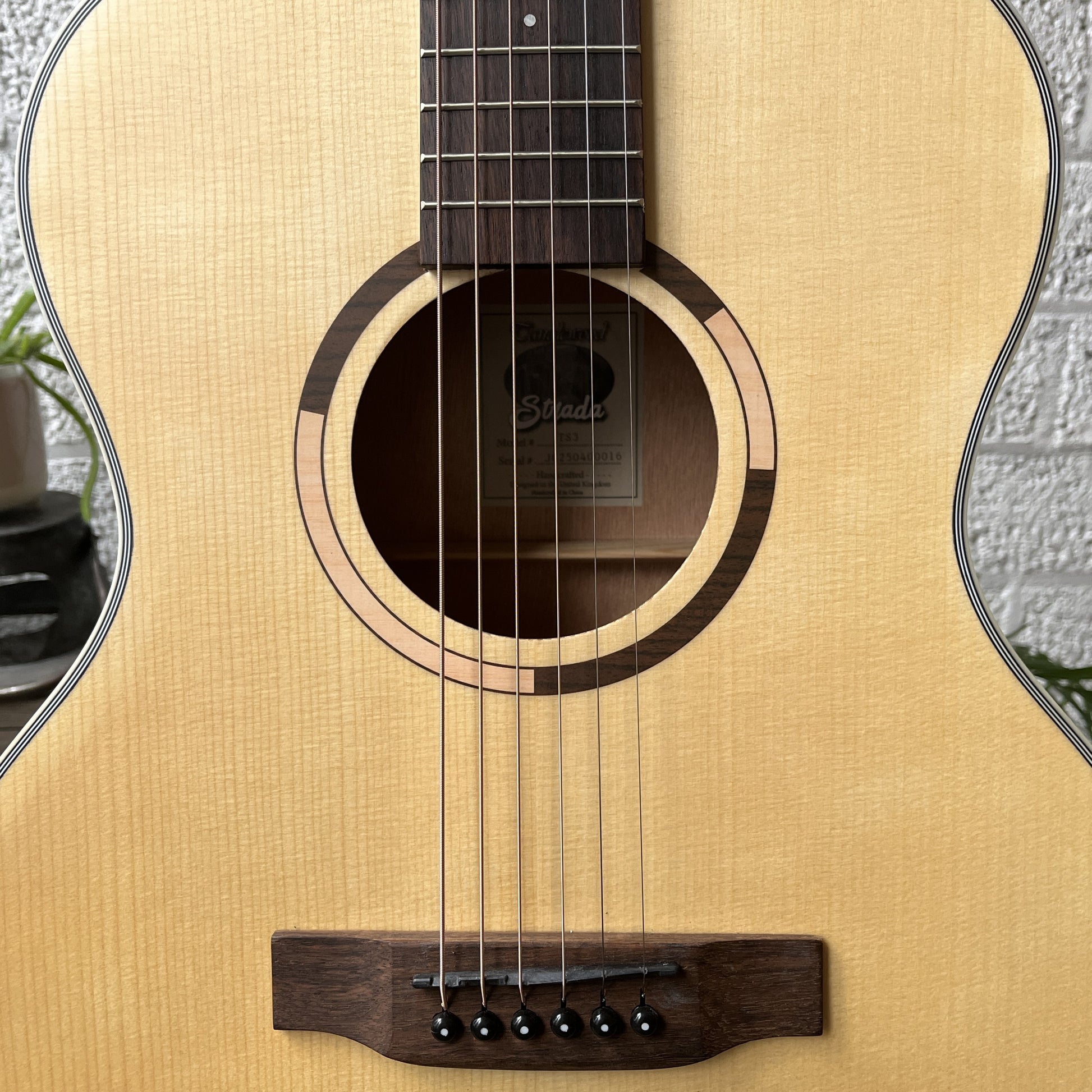 tanglewood ts3 strada auditorium acoustic guitar body detail