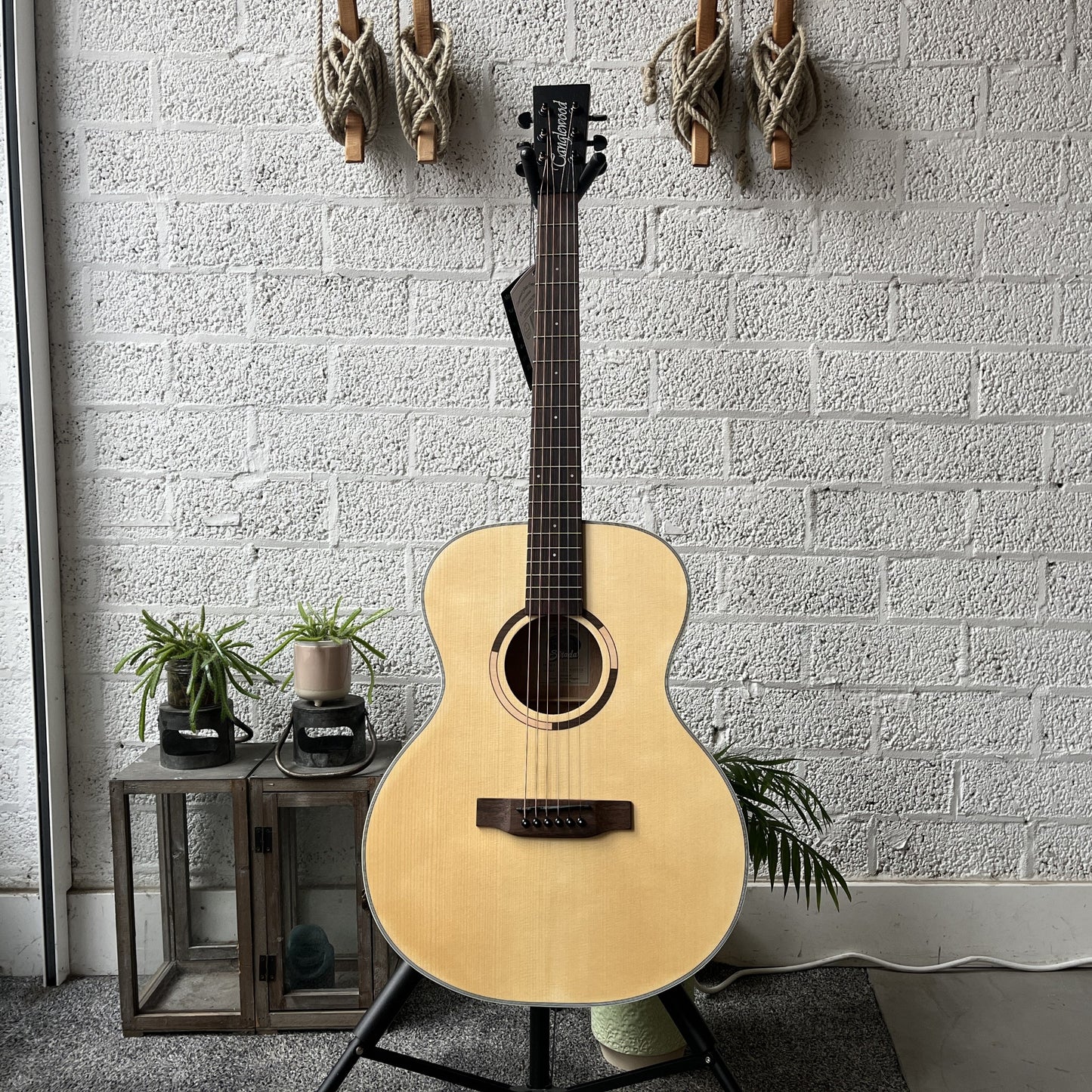 tanglewood ts3 strada auditorium acoustic guitar front view