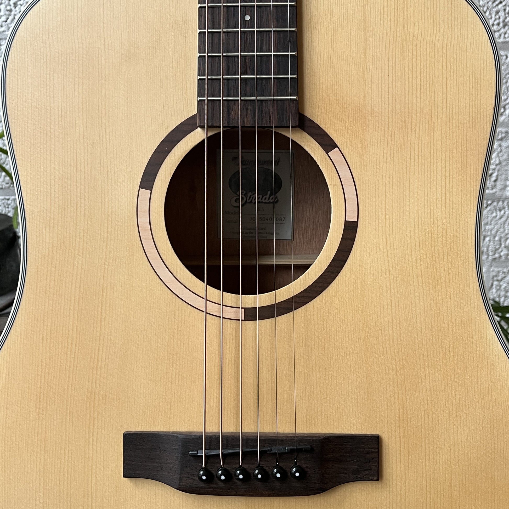 tanglewood ts5 strada dreadnought acoustic guitar body detail